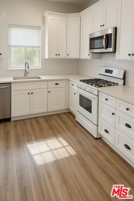 Interior, Kitchen, Stainless Steel Appliances, Wood Texture Flooring