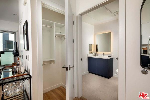 Bathroom, Interior, Walk-in Closets, Wood Texture Flooring
