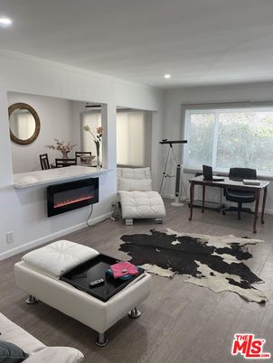 Fireplace, Fitness Equipment, Interior, Living room, Recessed Lighting, Wood Texture Flooring