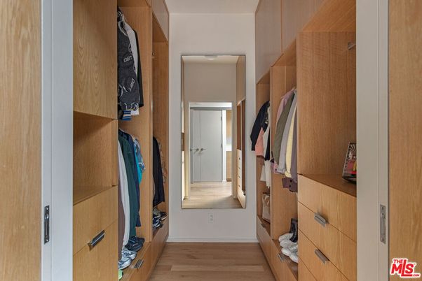 Interior, Walk-in Closets, Wood Texture Flooring