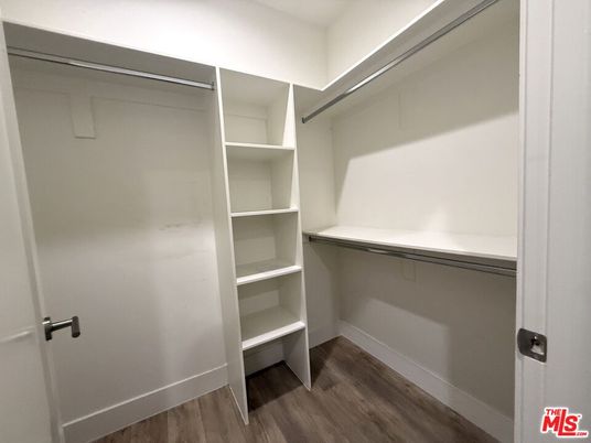 Interior, Walk-in Closets, Wood Texture Flooring