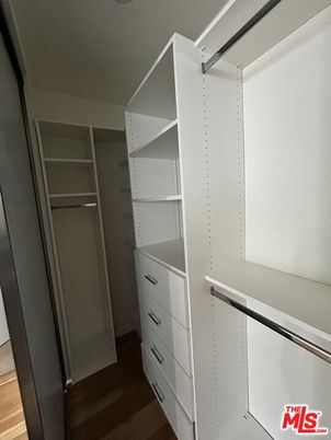 Interior, Walk-in Closets, Wood Texture Flooring