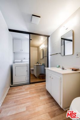 Bathroom, Interior, Washer, Wood Texture Flooring