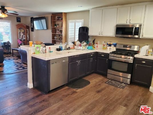 Interior, Kitchen, Stainless Steel Appliances, Wood Texture Flooring