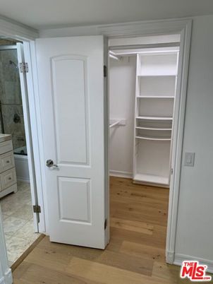 Interior, Walk-in Closets, Wood Texture Flooring