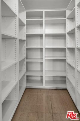 Interior, Walk-in Closets, Wood Texture Flooring
