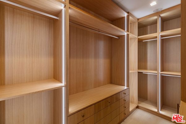 Interior, Walk-in Closets, Wood Texture Flooring, Wooden Walls