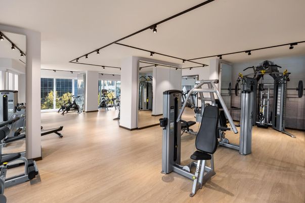 Fitness Equipment, Gym, Interior, Wood Texture Flooring