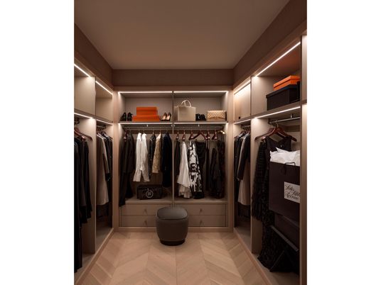 Interior, Walk-in Closets, Wood Texture Flooring