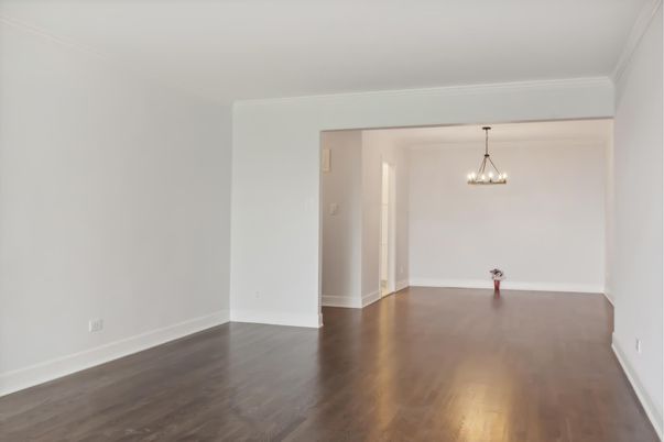 Empty room, Interior, Pendant Lights, Wood Texture Flooring