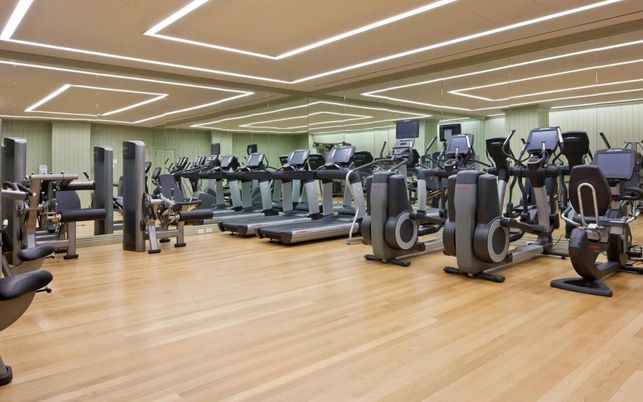 Fitness Equipment, Gym, Interior, Wood Texture Flooring