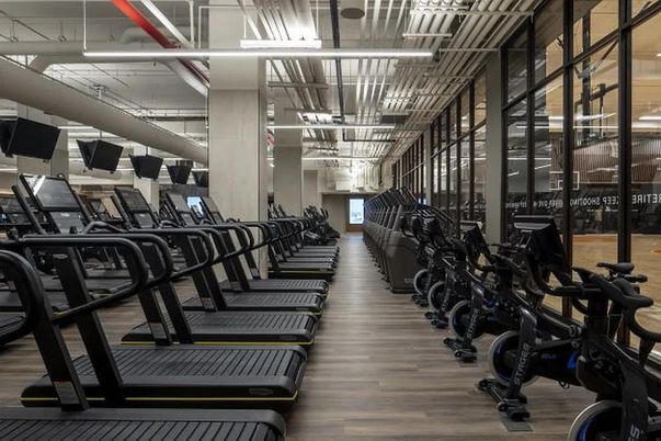 Fitness Equipment, Gym, Interior, Wood Texture Flooring