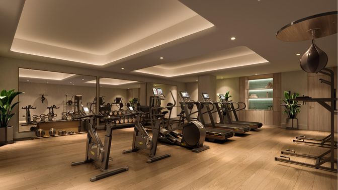 Fitness Equipment, Gym, Interior, Recessed Lighting, Wood Texture Flooring