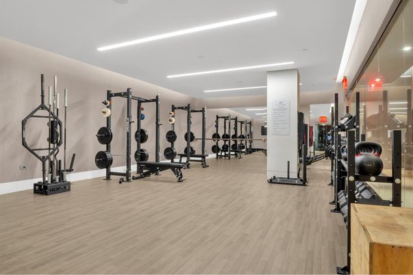 Fitness Equipment, Gym, Interior, Recessed Lighting, Wood Texture Flooring