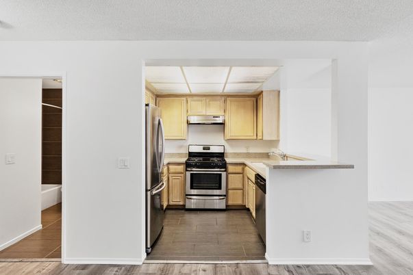 Interior, Kitchen, Stainless Steel Appliances, Wood Texture Flooring