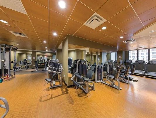 Fitness Equipment, Gym, Interior, Recessed Lighting, Wood Texture Flooring