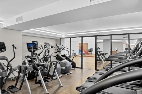 Fitness Equipment, Gym, Interior, Wood Texture Flooring