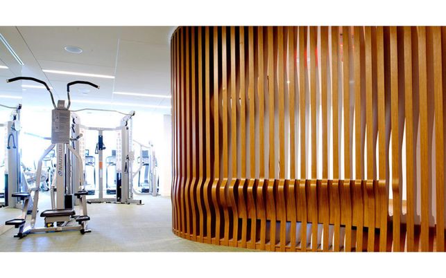 Fitness Equipment, Gym, Interior, Recessed Lighting