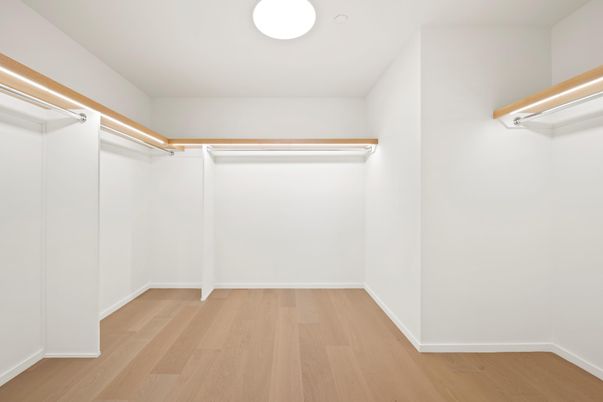Interior, Walk-in Closets, Wood Texture Flooring