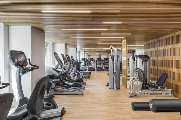 Fitness Equipment, Gym, Interior, Wood Texture Flooring