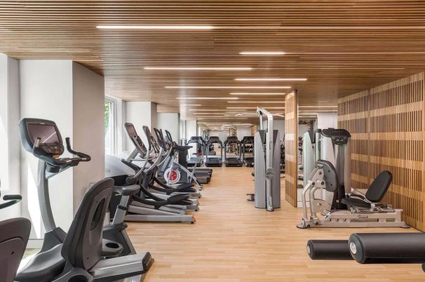 Fitness Equipment, Gym, Interior, Wood Texture Flooring