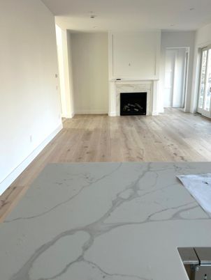 Empty room, Fireplace, Interior, Wood Texture Flooring