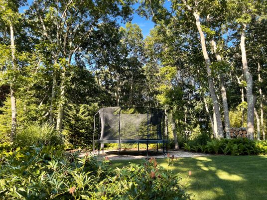 Backyard, Exterior, Playground