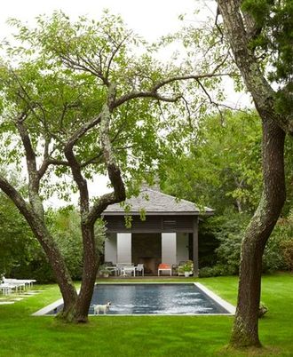 Backyard, Exterior, Pool