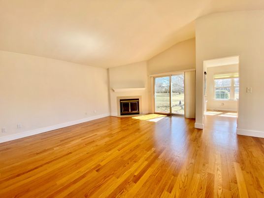 Empty room, Fireplace, Interior, Wood Texture Flooring