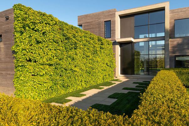 Backyard, Exterior, Facade, Modern