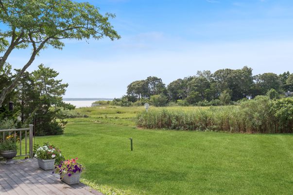 Backyard, Exterior, Water