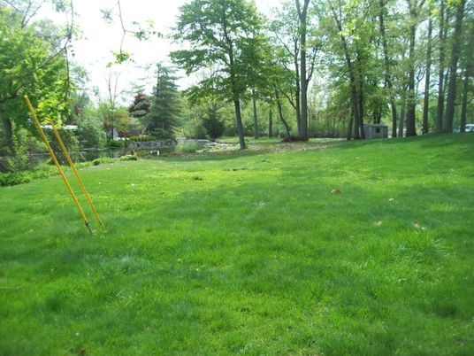 Backyard, Exterior, Playground