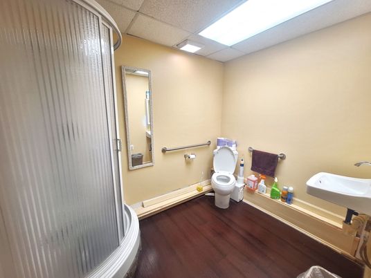 Bathroom, Interior, Recessed Lighting, Wood Texture Flooring