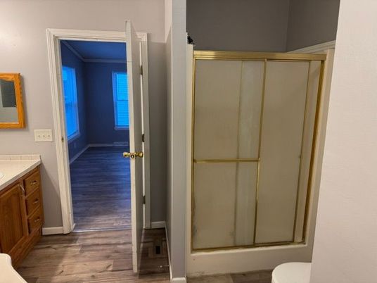 Bathroom, Interior, Wood Texture Flooring