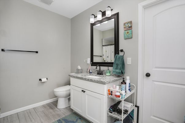 Bathroom, Interior, Wood Texture Flooring