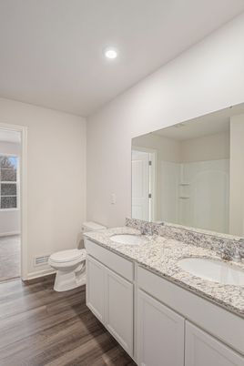 Bathroom, Interior, Recessed Lighting, Wood Texture Flooring