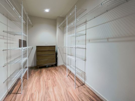 Interior, Recessed Lighting, Walk-in Closets, Wood Texture Flooring