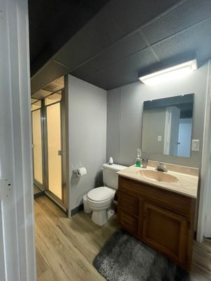 Bathroom, Glass Shower, Interior, Wood Texture Flooring