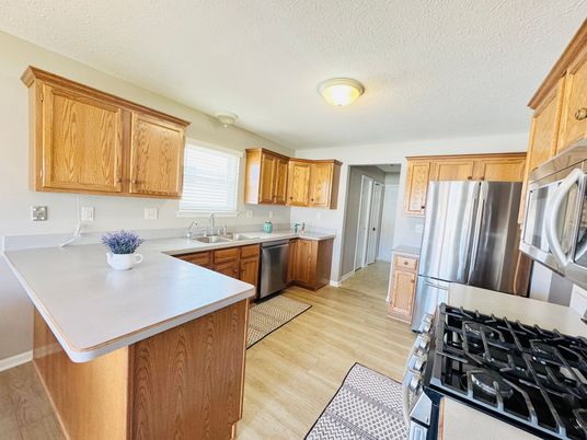 Interior, Kitchen, Stainless Steel Appliances, Wood Texture Flooring