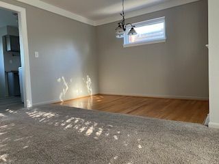 Empty room, Interior, Pendant Lights, Wood Texture Flooring