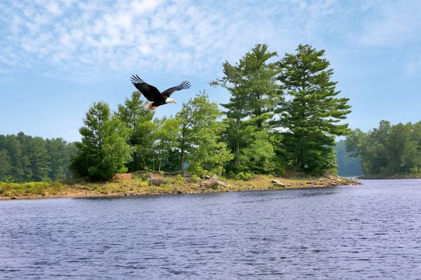 Exterior, Lake