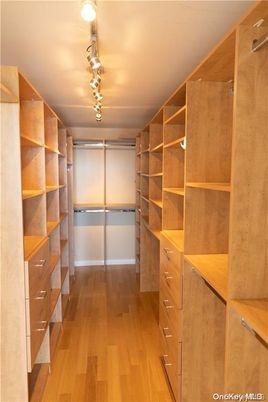 Interior, Walk-in Closets, Wood Texture Flooring