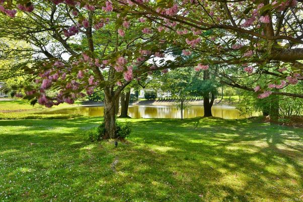 Backyard, Exterior, Water