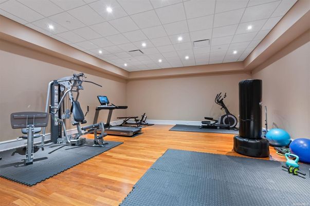 Fitness Equipment, Interior, Recessed Lighting, Wood Texture Flooring