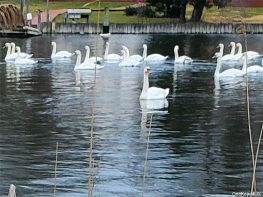Exterior, Lake