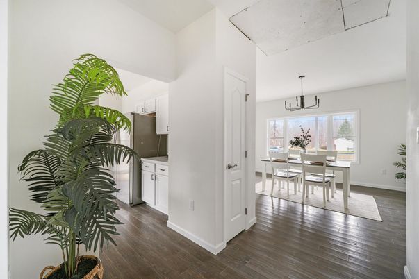 Dining room, Interior, Pendant Lights, Wood Texture Flooring