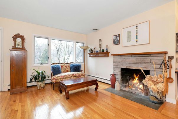 Fireplace, Interior, Wood Texture Flooring