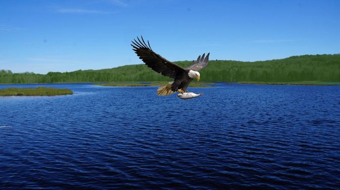 Exterior, Lake