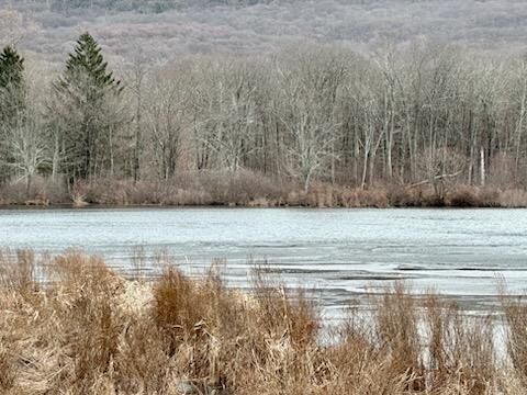 Exterior, Lake