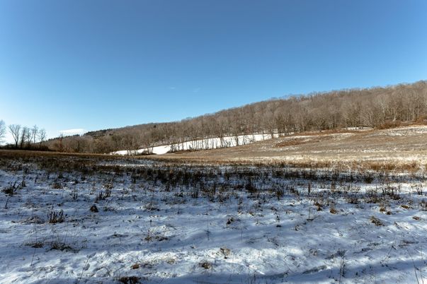 Exterior, Lake